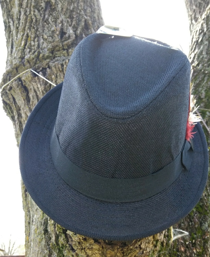 Fedora hat - Picture 2 of 4
